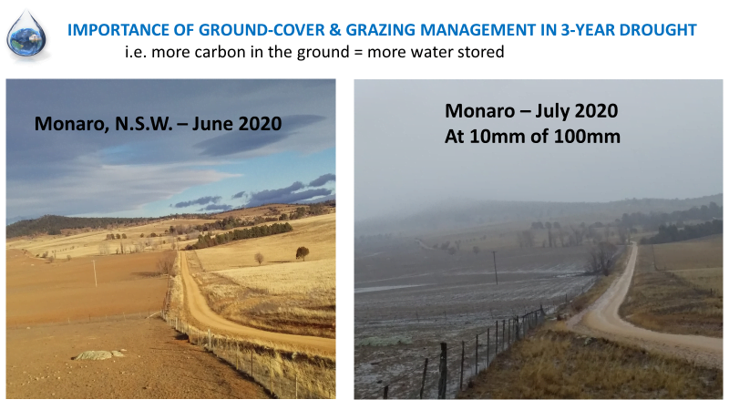 A side-by-side comparison of a property managed with regenerative grazing, and a property managed traditionally. The regeneratively managed property has fared much better than the traditionally grazed property in a drought.